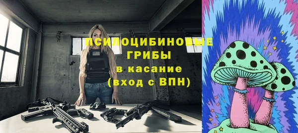 apvp Лихославль