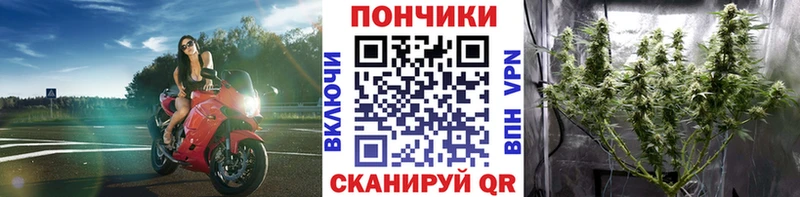 сайты даркнета какой сайт  Стародуб  Конопля OG Kush 